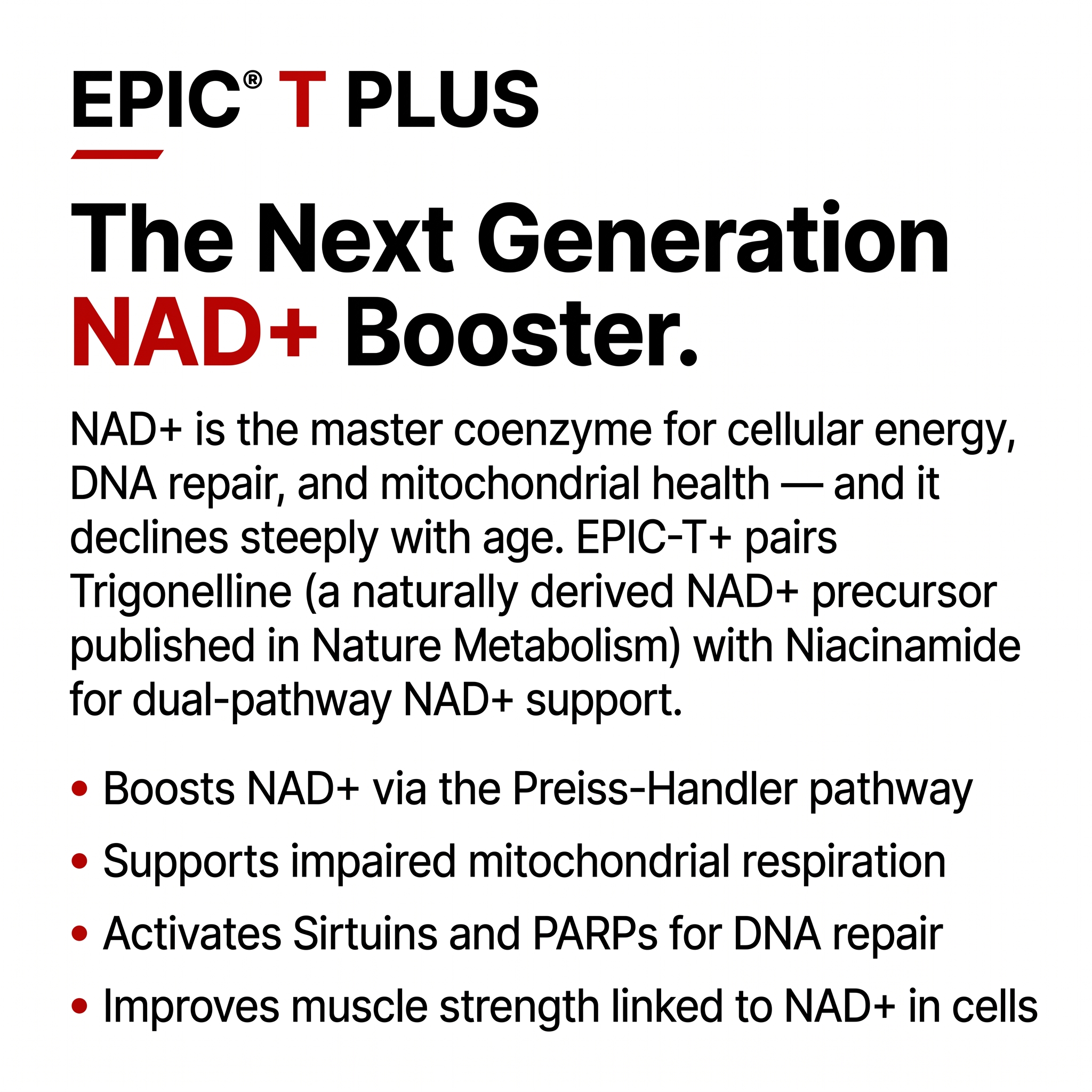 NAD⁺ Booster infographic — Trigonelline and Niacinamide dual-pathway cellular energy support