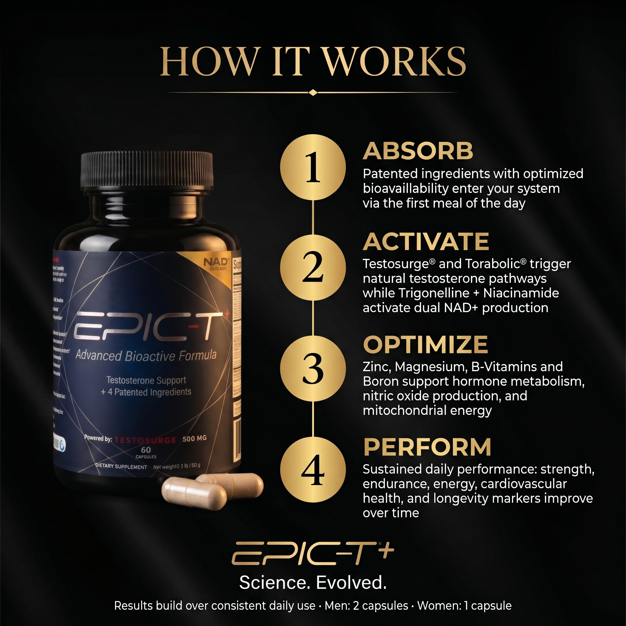 EPIC-T+ How It Works — 4-step process: Absorb, Activate, Optimize, Perform with Testosurge and Torabolic testosterone pathways and Trigonelline NAD+ production