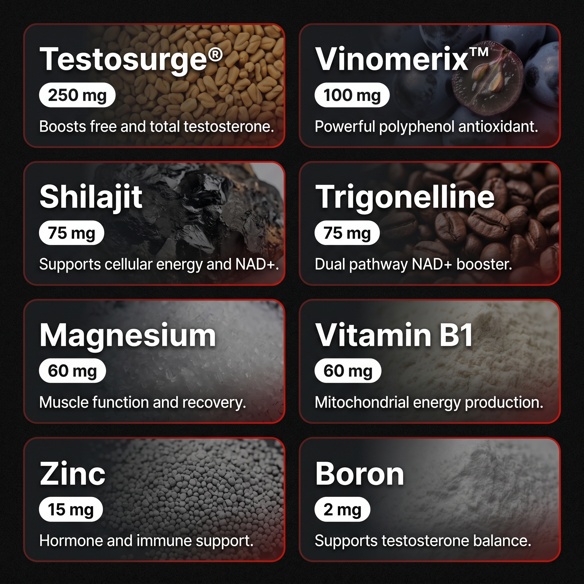 EPIC-T+ ingredient grid — Testosurge 250mg, Vinomerix 100mg, Shilajit 75mg, Trigonelline 75mg, Magnesium 60mg, Vitamin B1 60mg, Zinc 15mg, Boron 2mg