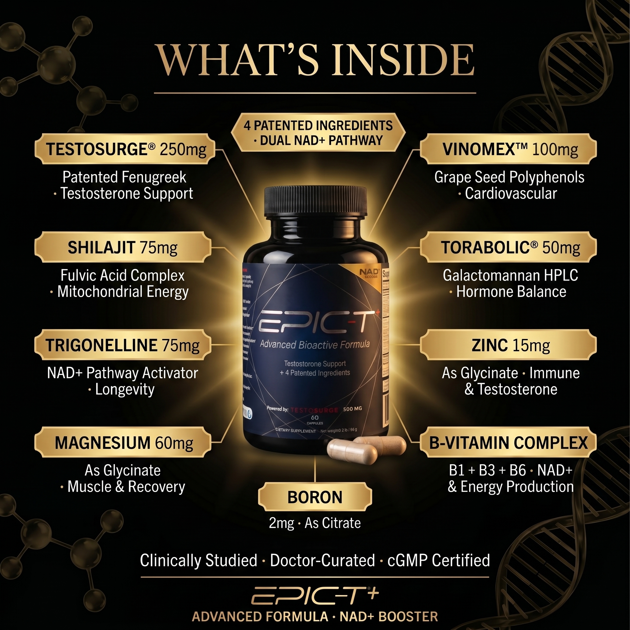 EPIC-T+ What's Inside — Testosurge 250mg, Vinomerix 100mg, Shilajit 75mg, Trigonelline 75mg, Torabolic 50mg, Zinc 15mg, Magnesium 60mg, B-Vitamin Complex, Boron 2mg